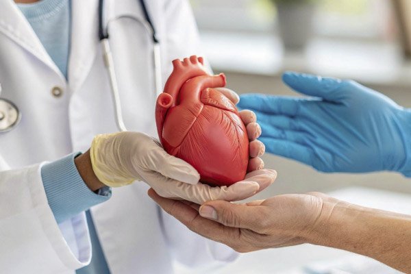 Ensayo Clínico Cardiología Celerity Clinical